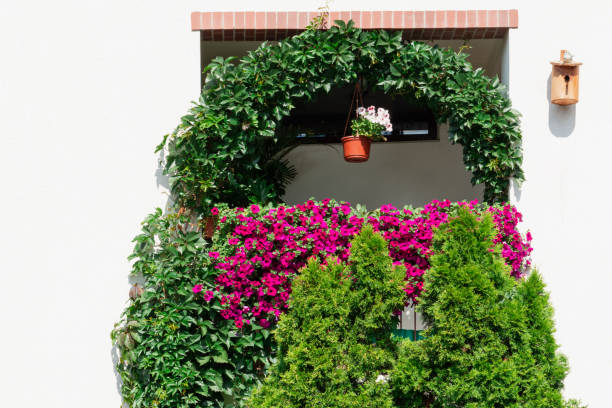 Professional site analysis for plant selection