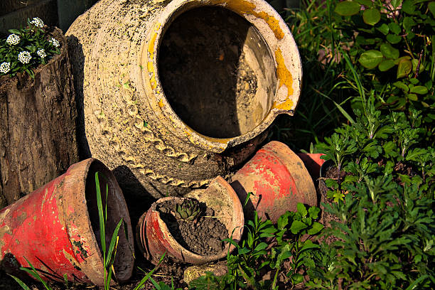 Garden composition planning and design