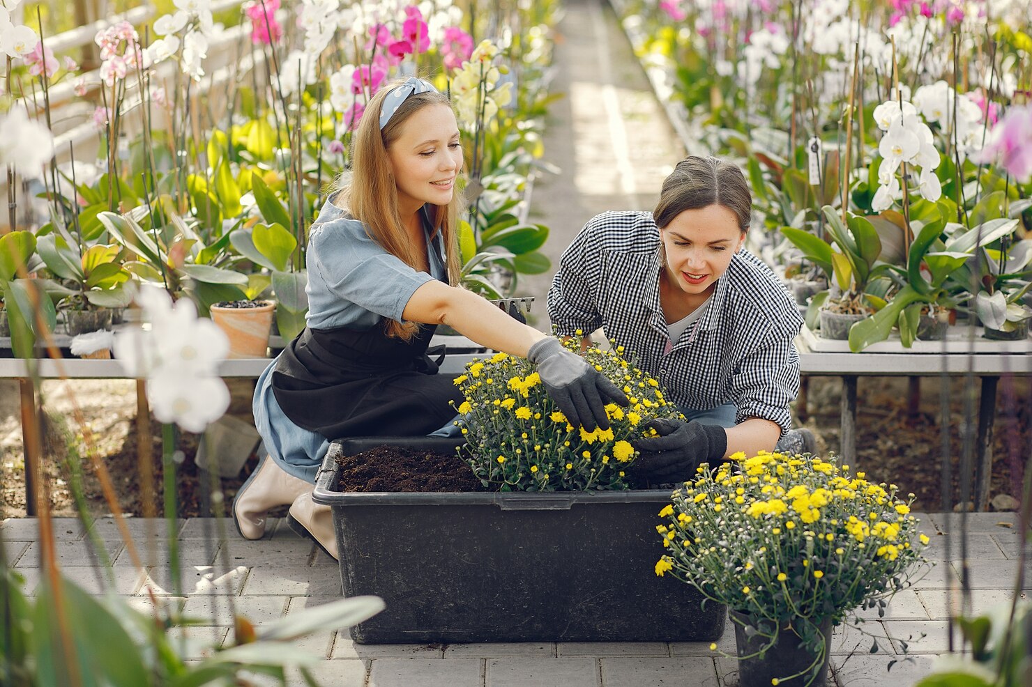 Alpine slide and vertical landscaping features