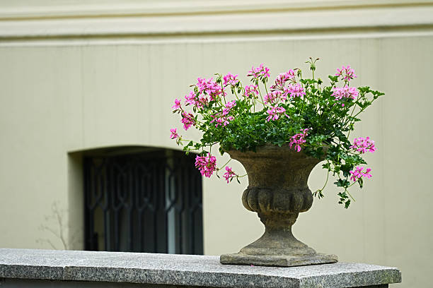 Seasonal garden transition