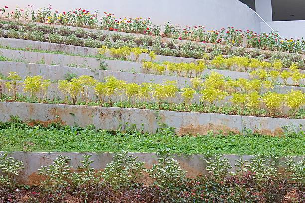 Professional garden design consultation